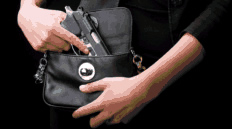 Foncealed Firearm purse